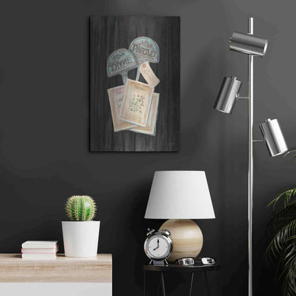 Luxe Metal Art 'Seed Packs Black Wood' by Carol Rowan, Metal Wall Art,16x24