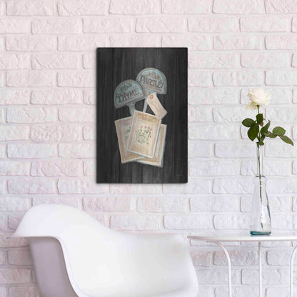 Luxe Metal Art 'Seed Packs Black Wood' by Carol Rowan, Metal Wall Art,16x24