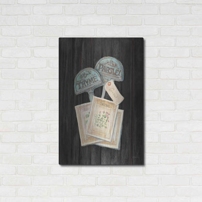 Luxe Metal Art 'Seed Packs Black Wood' by Carol Rowan, Metal Wall Art,24x36