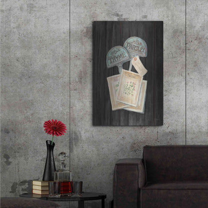 Luxe Metal Art 'Seed Packs Black Wood' by Carol Rowan, Metal Wall Art,24x36