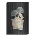 Luxe Metal Art 'Seed Packs Black Wood' by Carol Rowan, Metal Wall Art