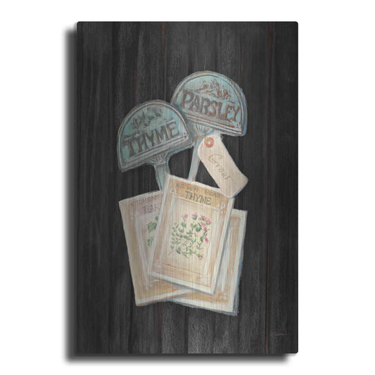 Luxe Metal Art 'Seed Packs Black Wood' by Carol Rowan, Metal Wall Art