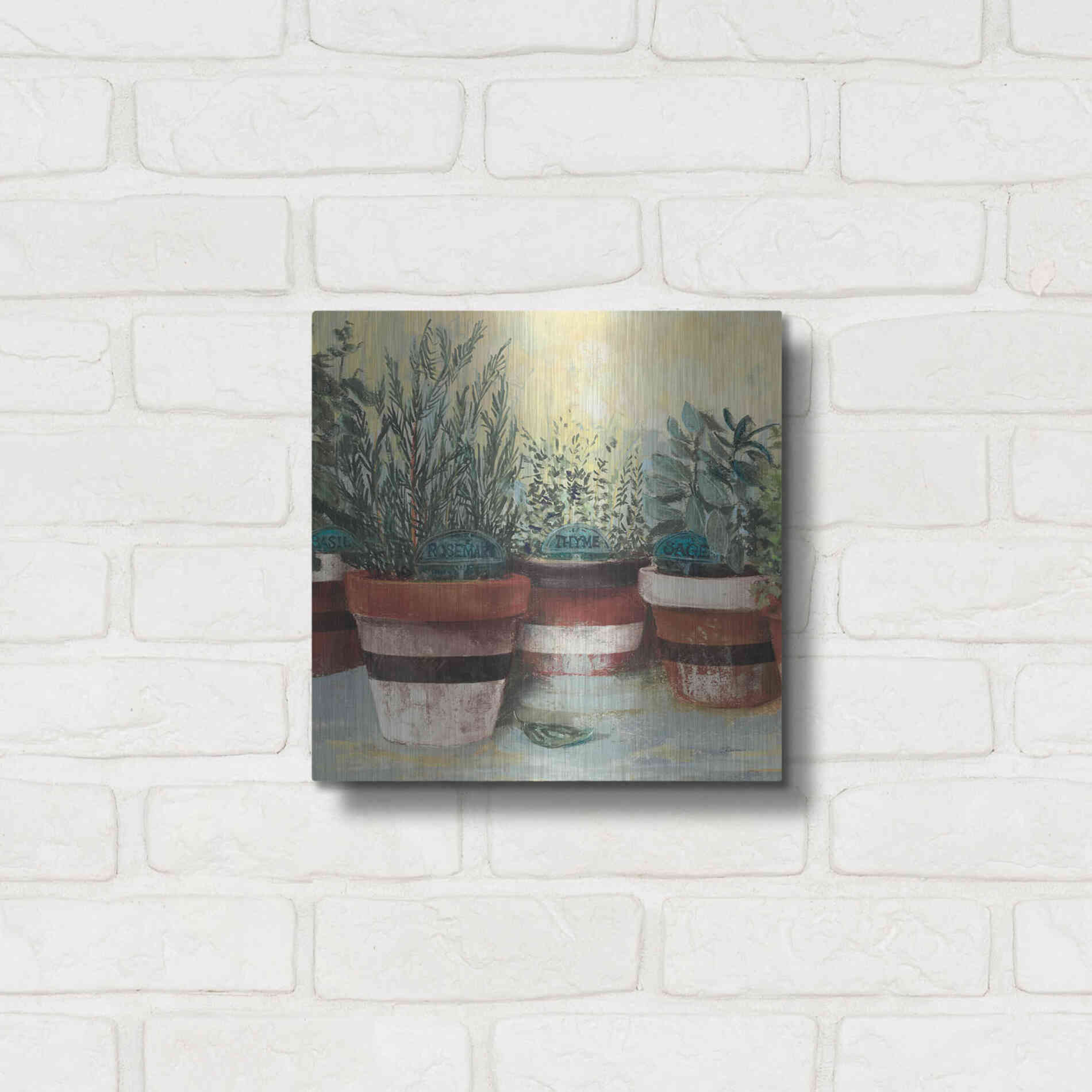 Luxe Metal Art 'Potted Herbs II Stripes Crop' by Carol Rowan, Metal Wall Art,12x12