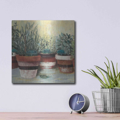 Luxe Metal Art 'Potted Herbs II Stripes Crop' by Carol Rowan, Metal Wall Art,12x12