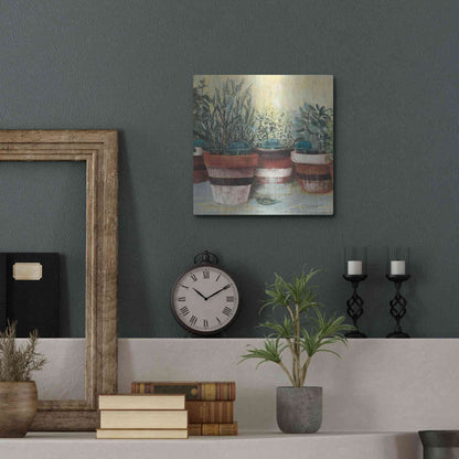 Luxe Metal Art 'Potted Herbs II Stripes Crop' by Carol Rowan, Metal Wall Art,12x12