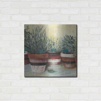 Luxe Metal Art 'Potted Herbs II Stripes Crop' by Carol Rowan, Metal Wall Art,24x24