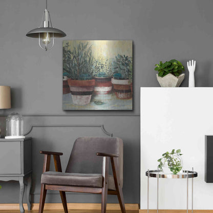 Luxe Metal Art 'Potted Herbs II Stripes Crop' by Carol Rowan, Metal Wall Art,24x24