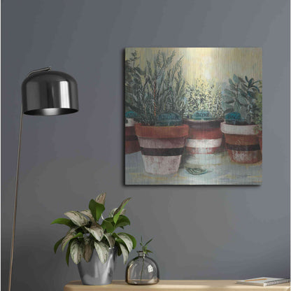 Luxe Metal Art 'Potted Herbs II Stripes Crop' by Carol Rowan, Metal Wall Art,24x24
