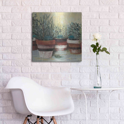 Luxe Metal Art 'Potted Herbs II Stripes Crop' by Carol Rowan, Metal Wall Art,24x24