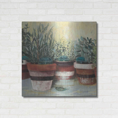 Luxe Metal Art 'Potted Herbs II Stripes Crop' by Carol Rowan, Metal Wall Art,36x36