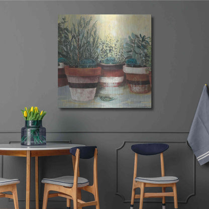 Luxe Metal Art 'Potted Herbs II Stripes Crop' by Carol Rowan, Metal Wall Art,36x36