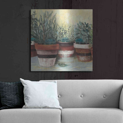 Luxe Metal Art 'Potted Herbs II Stripes Crop' by Carol Rowan, Metal Wall Art,36x36