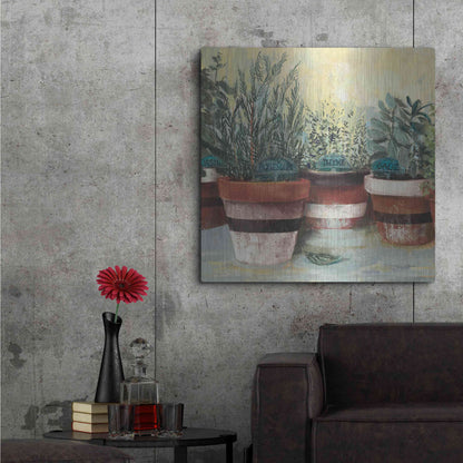 Luxe Metal Art 'Potted Herbs II Stripes Crop' by Carol Rowan, Metal Wall Art,36x36