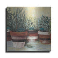 Luxe Metal Art 'Potted Herbs II Stripes Crop' by Carol Rowan, Metal Wall Art