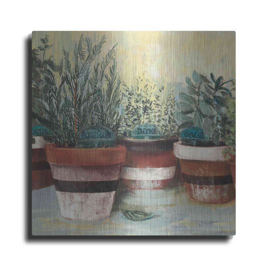 Luxe Metal Art 'Potted Herbs II Stripes Crop' by Carol Rowan, Metal Wall Art