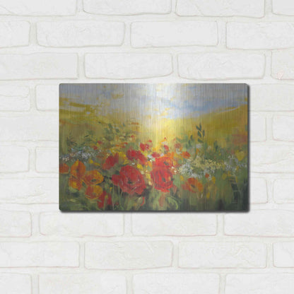 Luxe Metal Art 'Oriental Poppy Field Crop' by Carol Rowan, Metal Wall Art,16x12