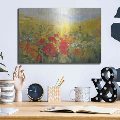 Luxe Metal Art 'Oriental Poppy Field Crop' by Carol Rowan, Metal Wall Art,16x12