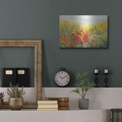 Luxe Metal Art 'Oriental Poppy Field Crop' by Carol Rowan, Metal Wall Art,16x12
