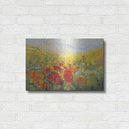 Luxe Metal Art 'Oriental Poppy Field Crop' by Carol Rowan, Metal Wall Art,24x16