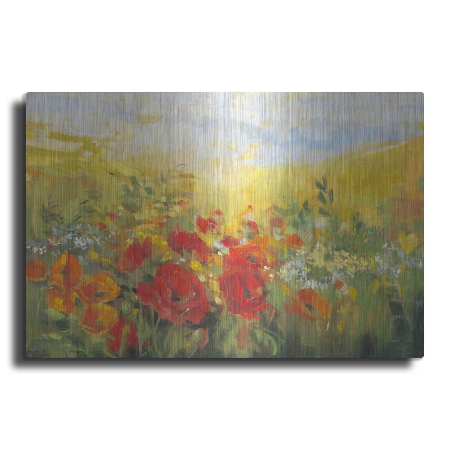 Luxe Metal Art 'Oriental Poppy Field Crop' by Carol Rowan, Metal Wall Art