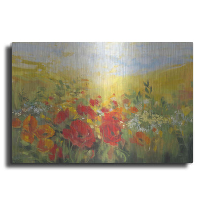Luxe Metal Art 'Oriental Poppy Field Crop' by Carol Rowan, Metal Wall Art