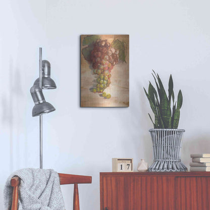 Luxe Metal Art 'Grape Harvest II No Label' by Carol Rowan, Metal Wall Art,16x24