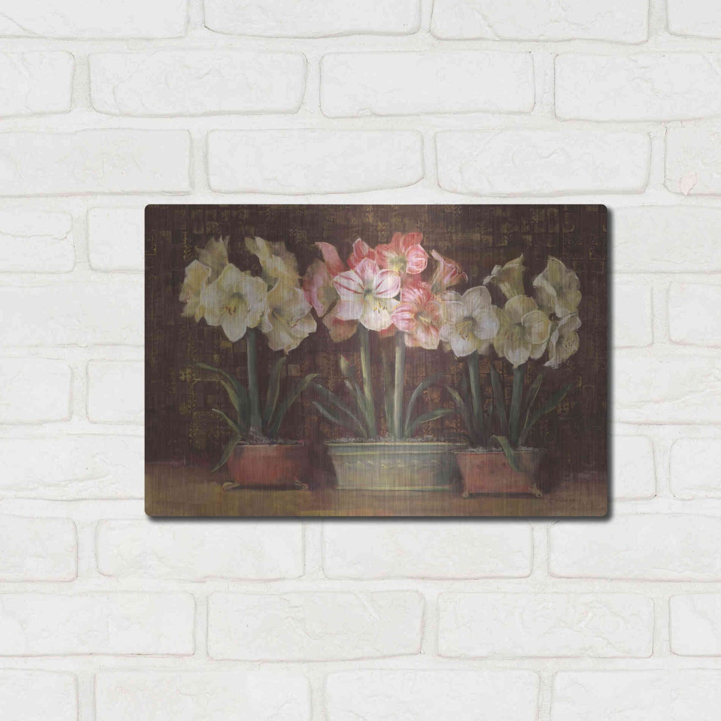 Luxe Metal Art 'Amaryllis On Brown' by Carol Rowan, Metal Wall Art,16x12