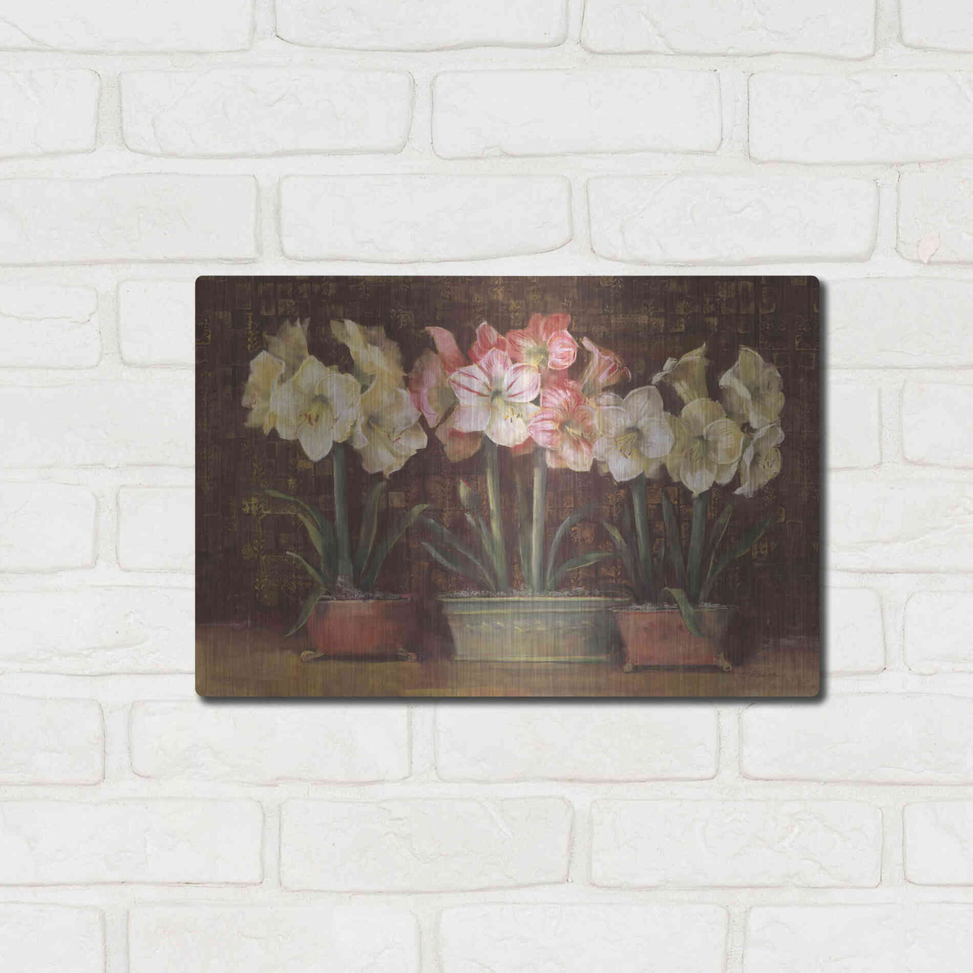 Luxe Metal Art 'Amaryllis On Brown' by Carol Rowan, Metal Wall Art,16x12