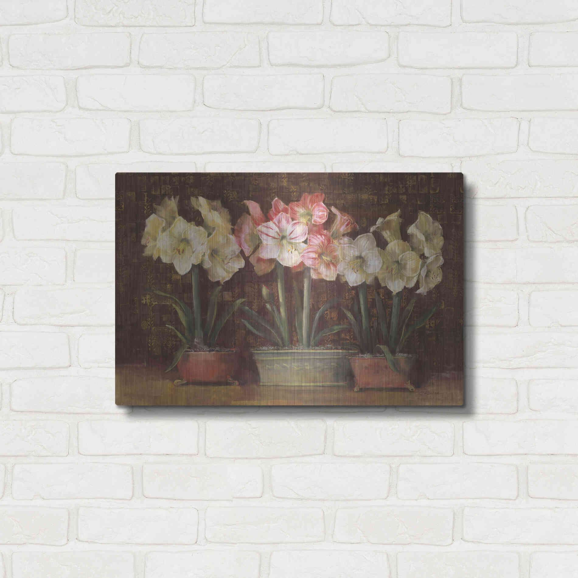 Luxe Metal Art 'Amaryllis On Brown' by Carol Rowan, Metal Wall Art,24x16