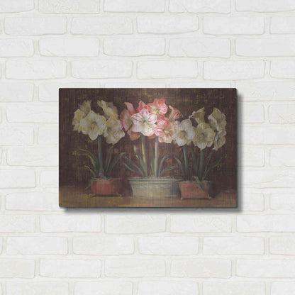 Luxe Metal Art 'Amaryllis On Brown' by Carol Rowan, Metal Wall Art,24x16