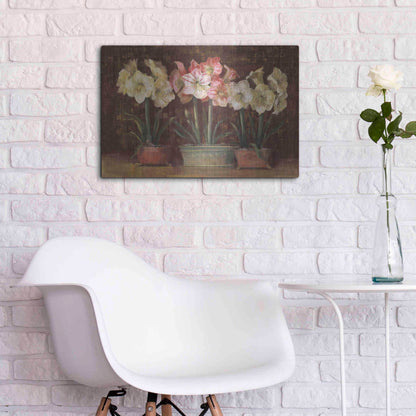 Luxe Metal Art 'Amaryllis On Brown' by Carol Rowan, Metal Wall Art,24x16