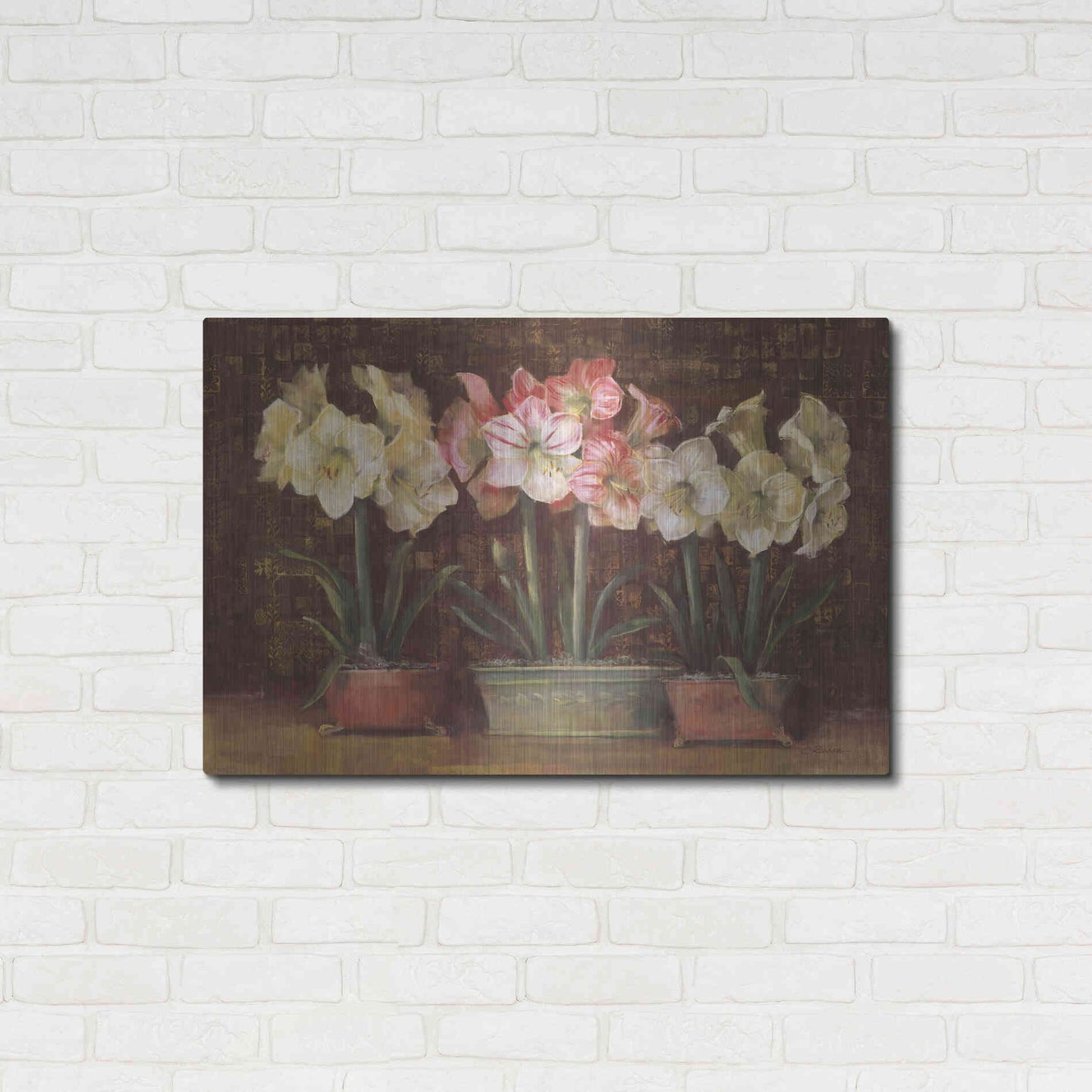 Luxe Metal Art 'Amaryllis On Brown' by Carol Rowan, Metal Wall Art,36x24