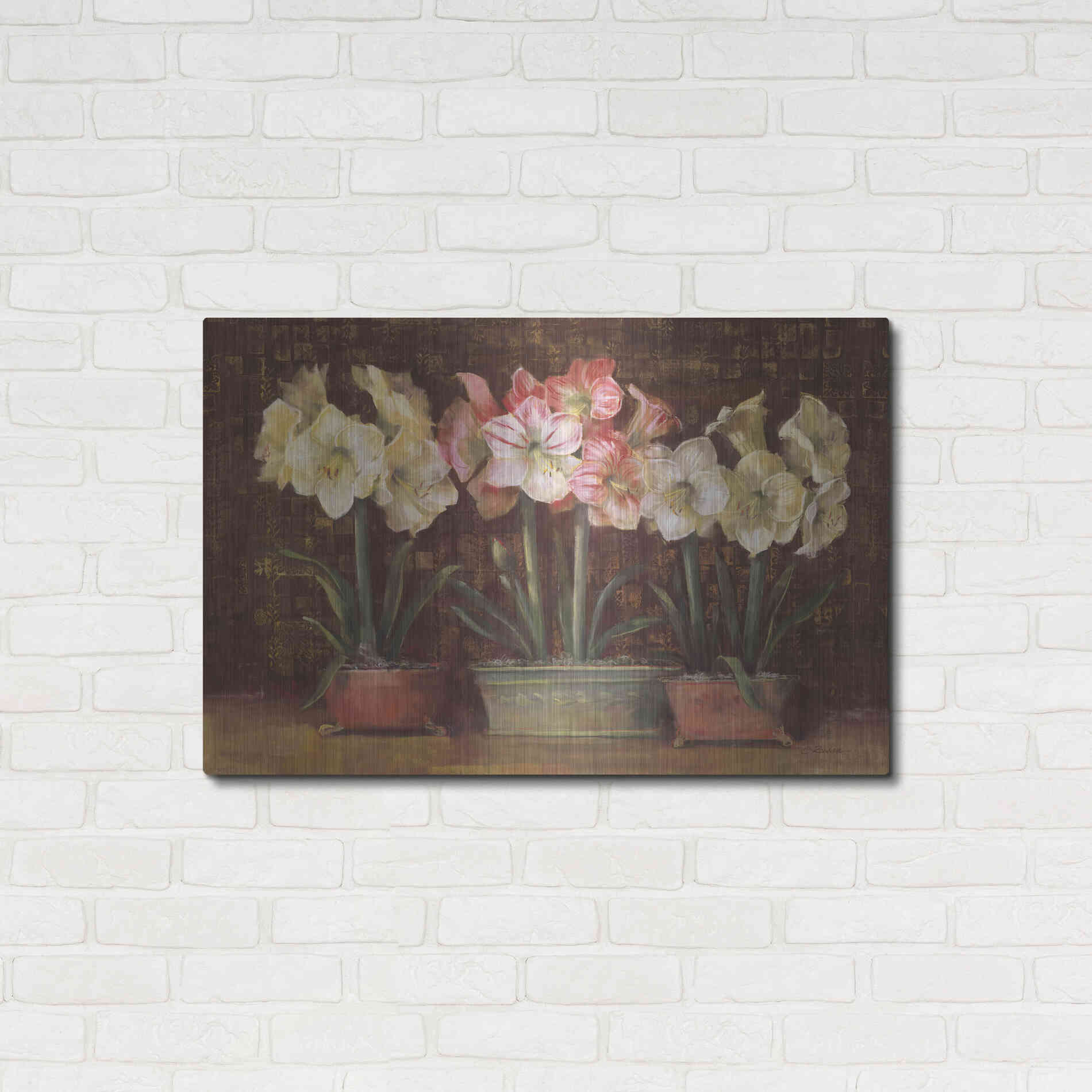 Luxe Metal Art 'Amaryllis On Brown' by Carol Rowan, Metal Wall Art,36x24