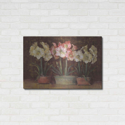 Luxe Metal Art 'Amaryllis On Brown' by Carol Rowan, Metal Wall Art,36x24
