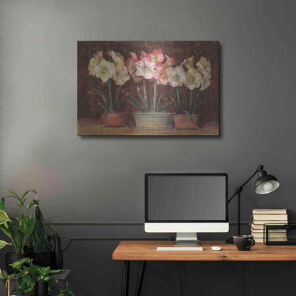 Luxe Metal Art 'Amaryllis On Brown' by Carol Rowan, Metal Wall Art,36x24