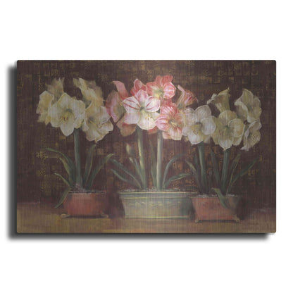 Luxe Metal Art 'Amaryllis On Brown' by Carol Rowan, Metal Wall Art