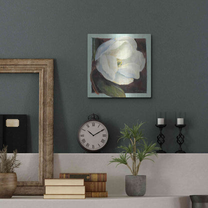Luxe Metal Art 'Magnolia I' by Carol Rowan, Metal Wall Art,12x12