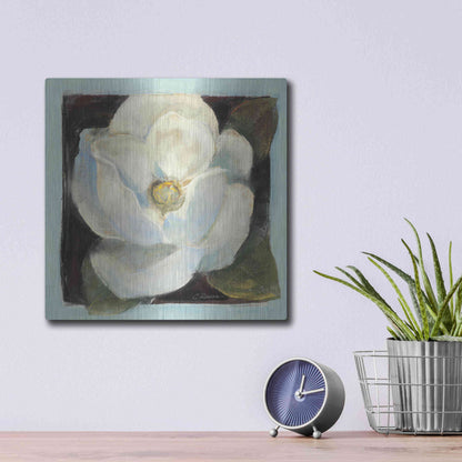 Luxe Metal Art 'Magnolia II' by Carol Rowan, Metal Wall Art,12x12