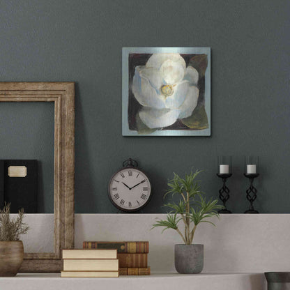 Luxe Metal Art 'Magnolia II' by Carol Rowan, Metal Wall Art,12x12