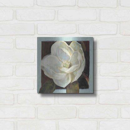 Luxe Metal Art 'Magnolia III' by Carol Rowan, Metal Wall Art,12x12
