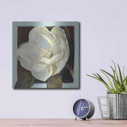 Luxe Metal Art 'Magnolia III' by Carol Rowan, Metal Wall Art,12x12