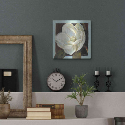 Luxe Metal Art 'Magnolia III' by Carol Rowan, Metal Wall Art,12x12