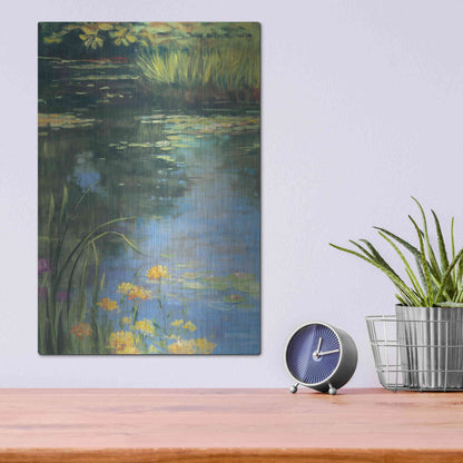 Luxe Metal Art 'Garden Pond II' by Carol Rowan, Metal Wall Art,12x16