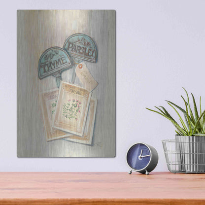 Luxe Metal Art 'Seed Packs' by Carol Rowan, Metal Wall Art,12x16