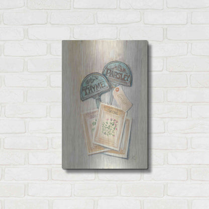 Luxe Metal Art 'Seed Packs' by Carol Rowan, Metal Wall Art,16x24