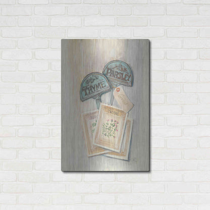Luxe Metal Art 'Seed Packs' by Carol Rowan, Metal Wall Art,24x36