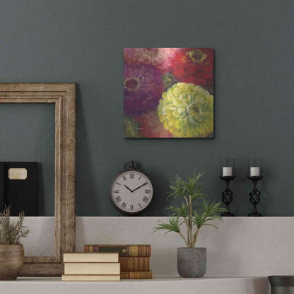 Luxe Metal Art 'Zinnia Gala I' by Carol Rowan, Metal Wall Art,12x12