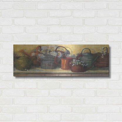 Luxe Metal Art 'Watering Cans' by Carol Rowan, Metal Wall Art,36x12