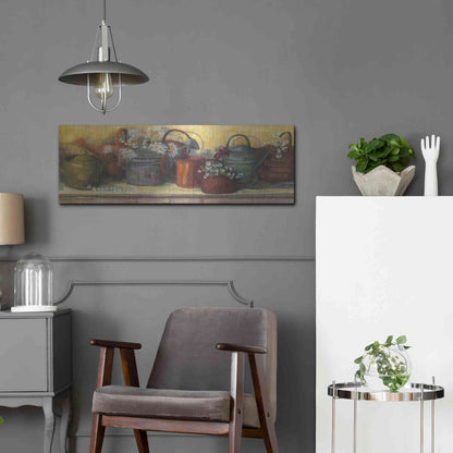 Luxe Metal Art 'Watering Cans' by Carol Rowan, Metal Wall Art,36x12
