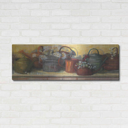 Luxe Metal Art 'Watering Cans' by Carol Rowan, Metal Wall Art,48x16